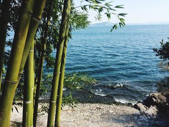 Scenic view of calm sea against sky