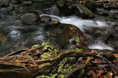 River flowing through rocks