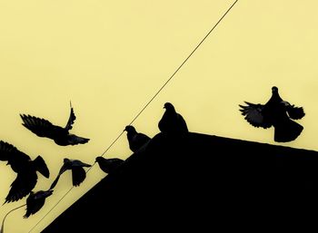 Low angle view of silhouette birds against sky