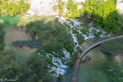 High angle view of river amidst trees in forest