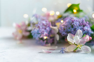 Close-up of purple flowering plant on table