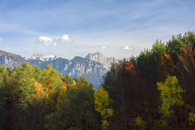 Scenic view of trees and mountains against sky