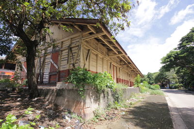 Footpath amidst trees and buildings against sky