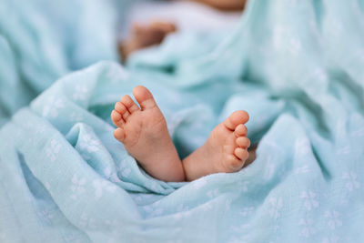 Low section of baby lying on bed