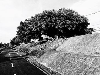 Road passing through trees