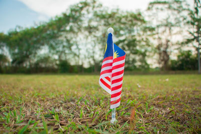 Close-up of small malaysian flag on grassy field