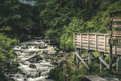 Stream flowing through rocks in forest