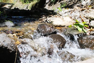 River flowing through rocks