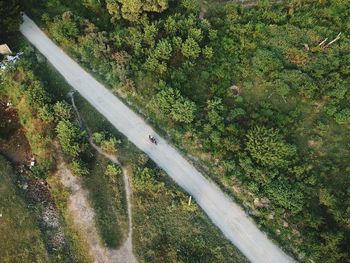 High angle view of road amidst trees in forest