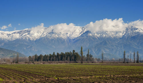 Scenic view of field and mountains against sky