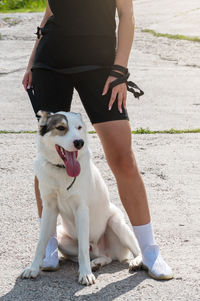 pet