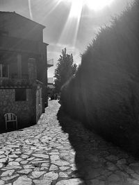 Narrow alley along buildings