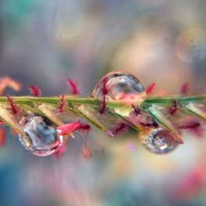 selective focus