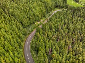 High angle view of road amidst trees