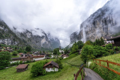 The view of