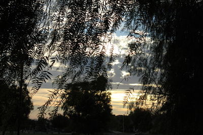 Low angle view of silhouette trees against sky at sunset