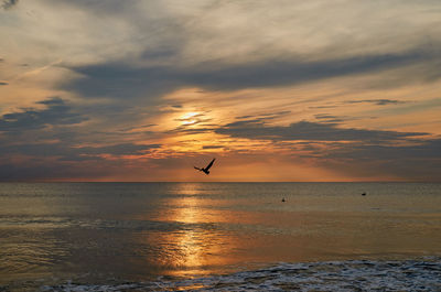 Silhouette bird flying over sea against sky during sunset