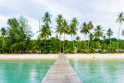 Palm trees by swimming pool against sky