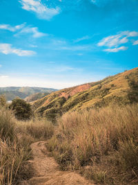 Scenic view of landscape against sky