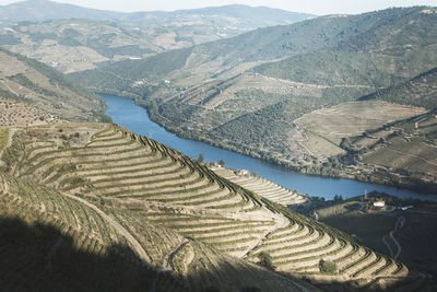 High angle view of agricultural field