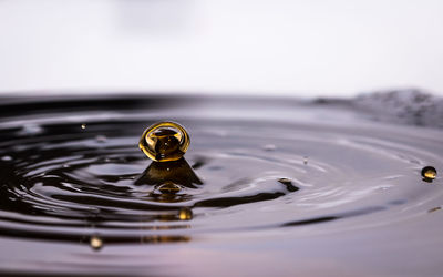 Close-up of drop splashing on water