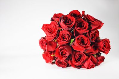 Close-up of red roses against white background