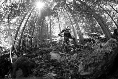 Man riding bicycle in forest