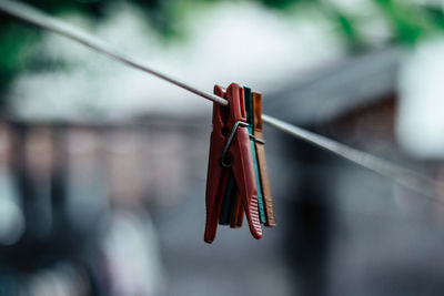 Close-up of clothes hanging on rope