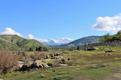 Valley to sequoia national park