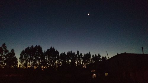 Silhouette of trees at night