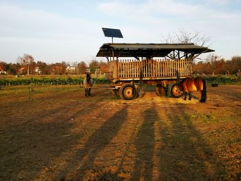 Horse cart on field against sky