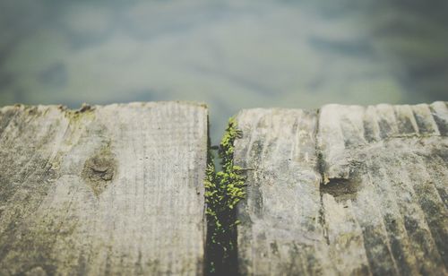 Close-up of old wood