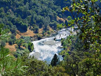 Scenic view of waterfall amidst trees in forest