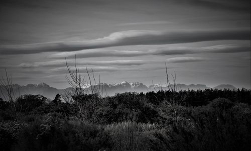 Silhouette trees on field against sky