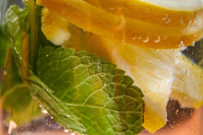 Close-up of lemon on glass