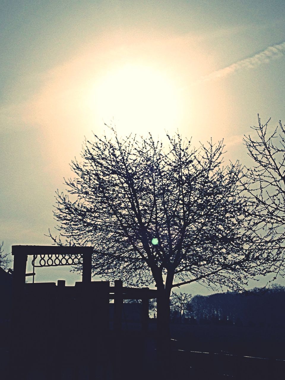 tree, silhouette, sky, bare tree, sunset, branch, sun, nature, tranquility, beauty in nature, tranquil scene, sunlight, scenics, growth, low angle view, outdoors, built structure, no people, fence, field