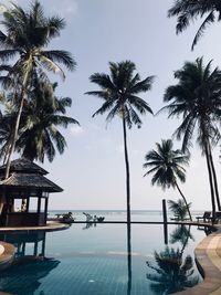 Palm trees by swimming pool at beach against sky