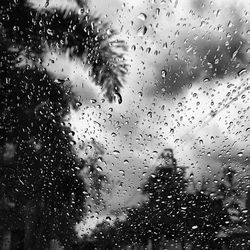 Close-up of water drops on glass