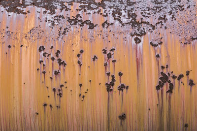 Full frame shot of weathered wall