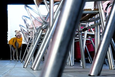 People waiting for sale