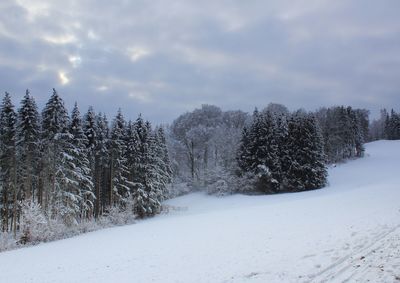 Trees on snow covered field against sky