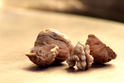 Close-up of bread on table