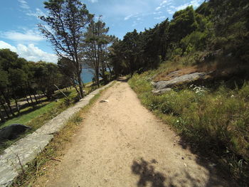 Road amidst trees against sky