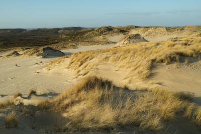 Scenic view of desert against clear sky