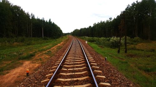 Railroad tracks along trees and plants