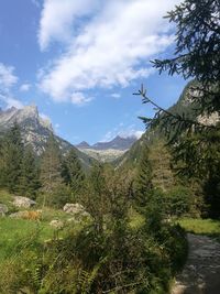 Scenic view of landscape against sky