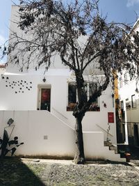 Trees and houses against sky