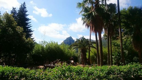 Scenic view of green landscape and mountains against sky