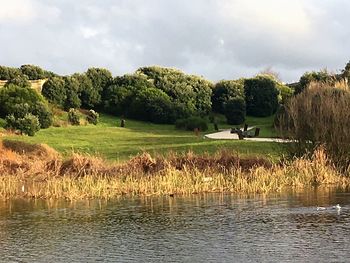 Scenic view of grassy field by lake against sky