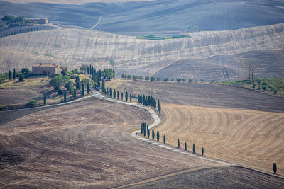 High angle view of agricultural field